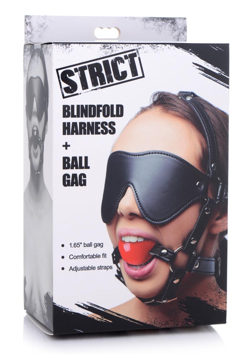 Blindfold Harness with Ball Gag