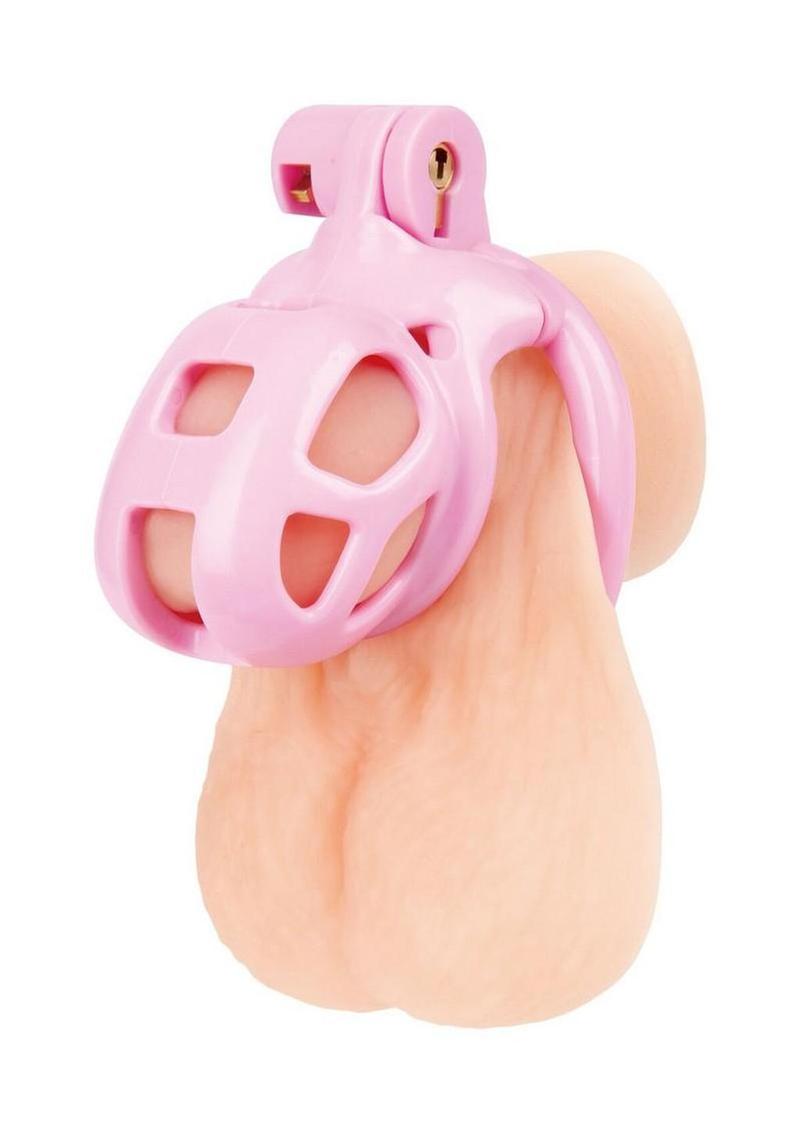 Blueline Small Humiliation Acrylic Prisoner Cock Cage