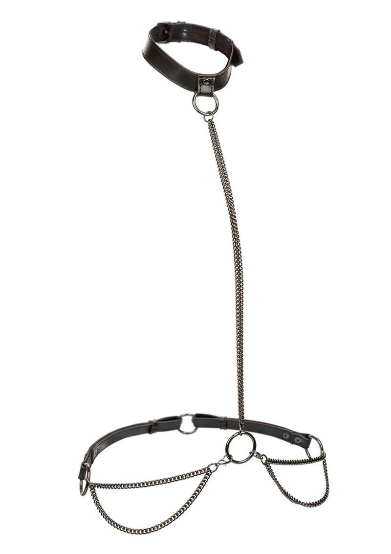 Euphoria Collection Chain Halter/Collar and Leash