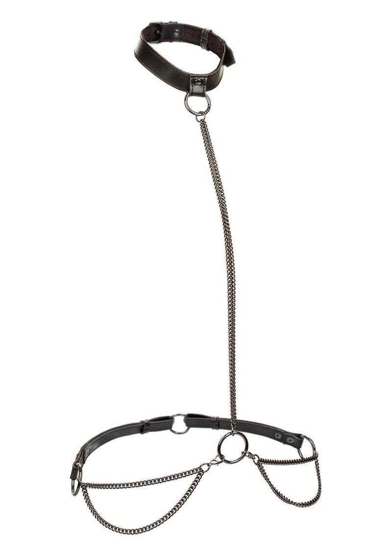 Euphoria Collection Chain Halter/Collar and Leash