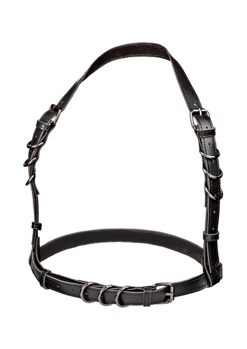 Euphoria Collection Halter Buckle Harness
