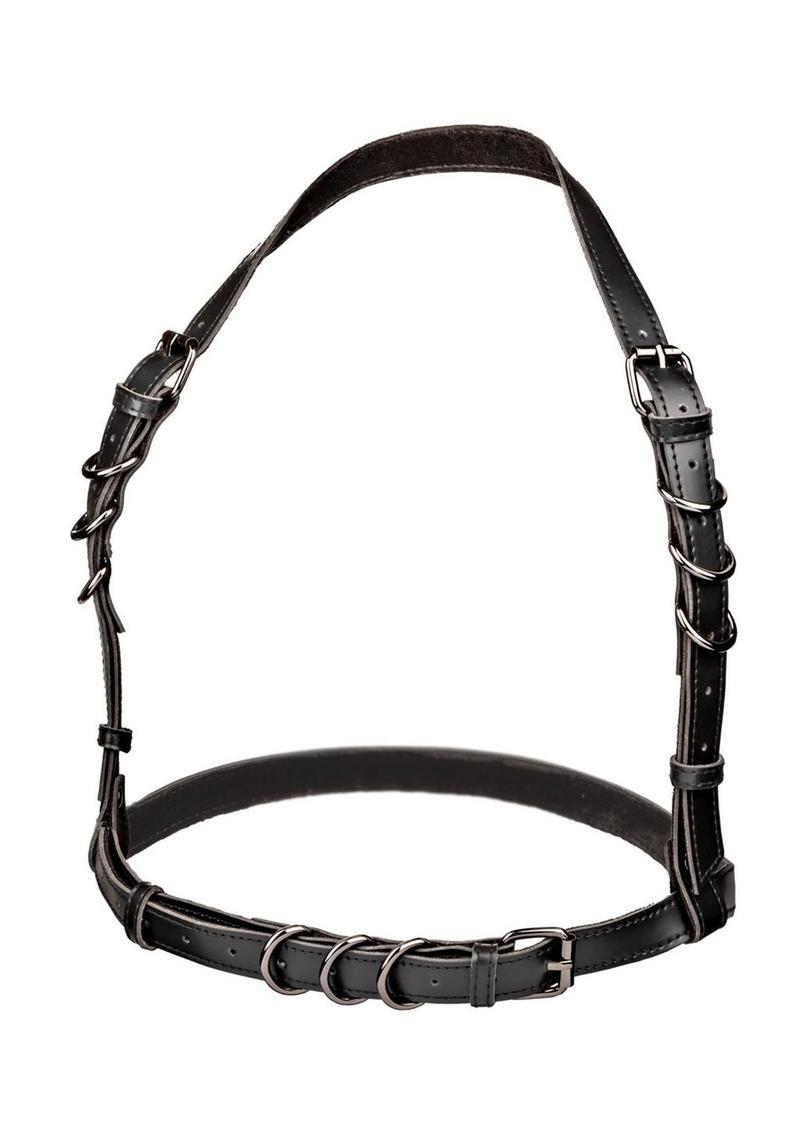 Euphoria Collection Halter Buckle Harness