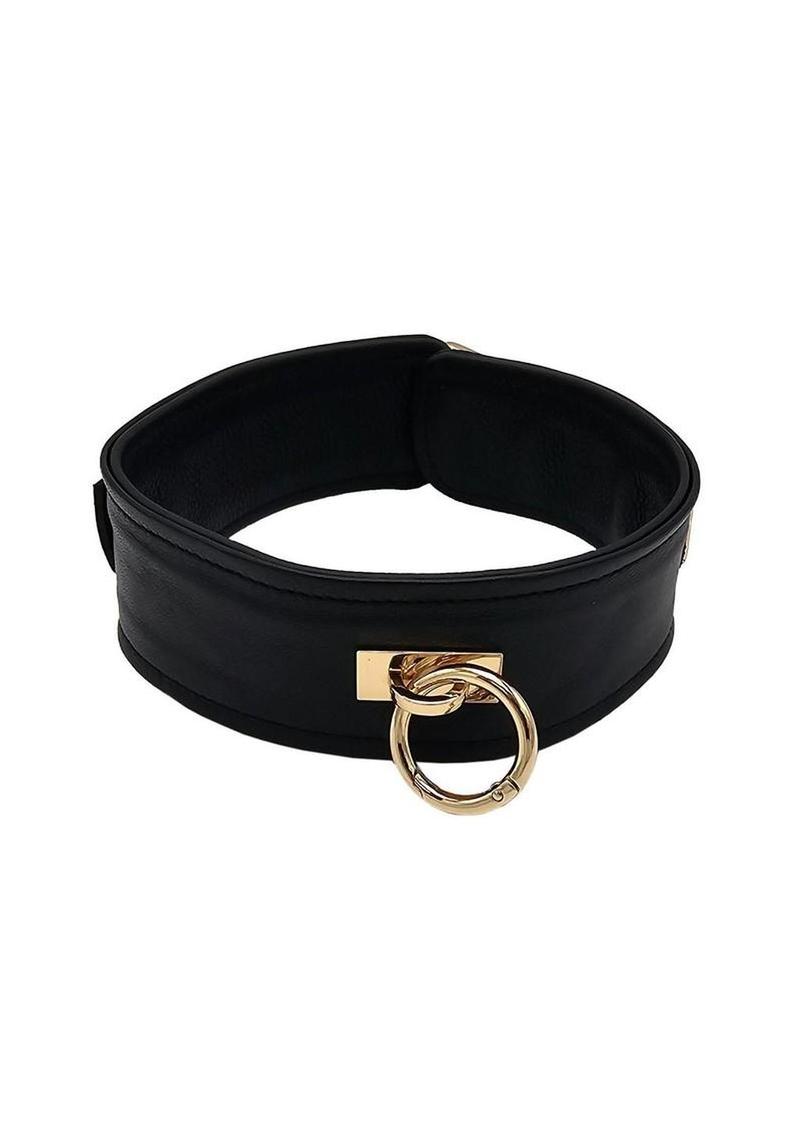Leather Plain Collar with Gold Accessories
