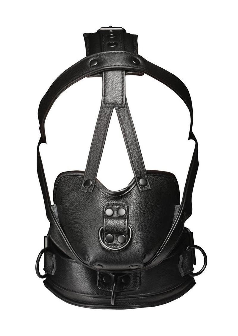 Master Series Leather Head Harness with Muzzle
