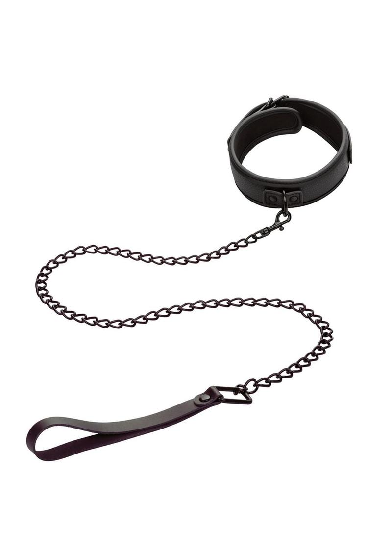 Nocturnal Collection Collar and Leash