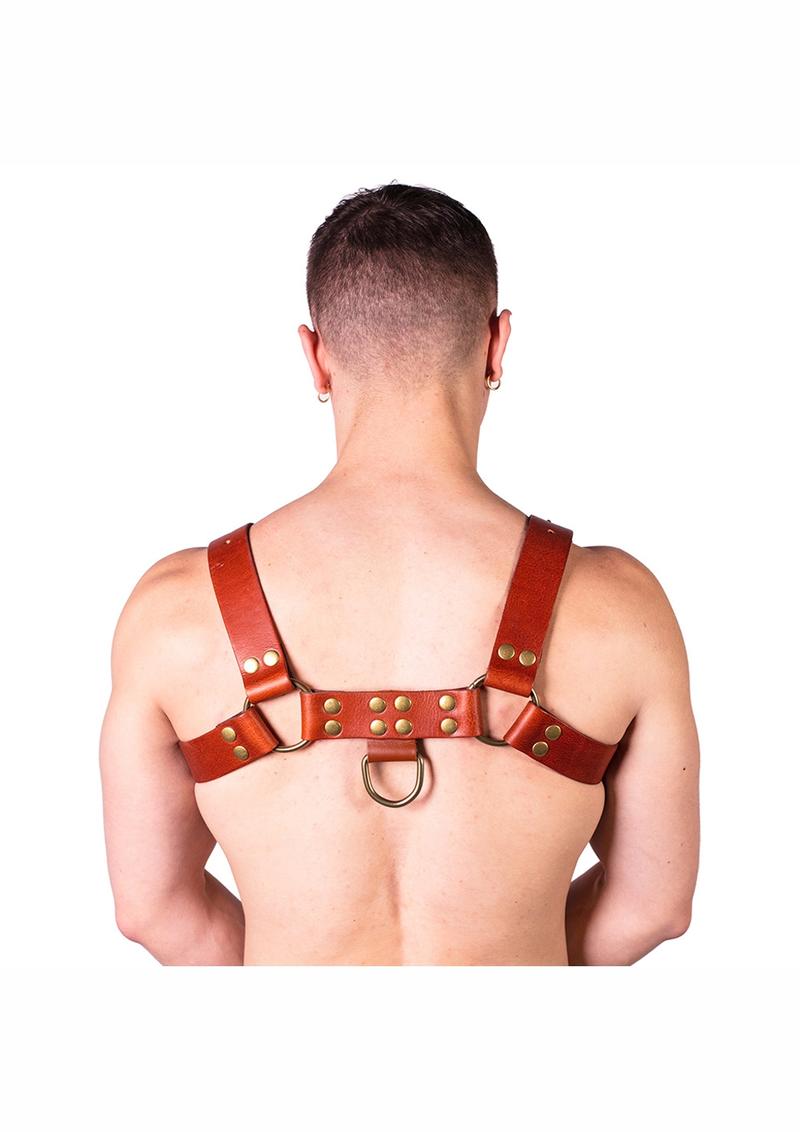Prowler Red Butch Harness - Medium - Brown/Brass