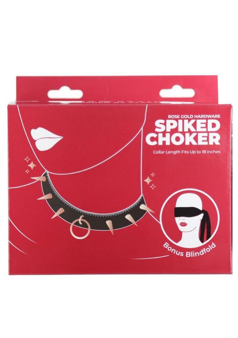 Punishment Spiked Choker