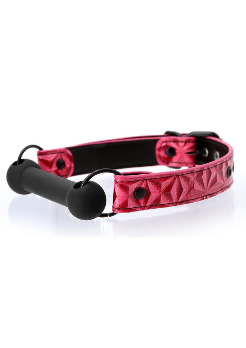 Sinful Silicone Bar Gag