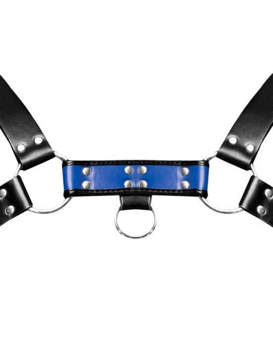Male Power Leather Aries Black/Blue One Size