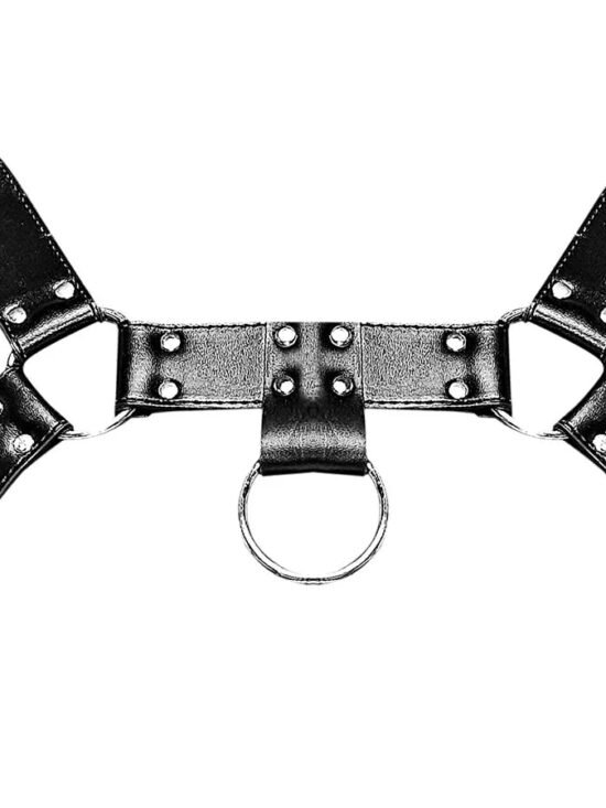 Male Power Leather Aries Black One Size