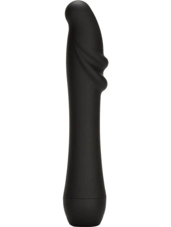Dr. Joel Kaplan 5-Function Prostate Stimulator Vibrator With Pleasure Ridges