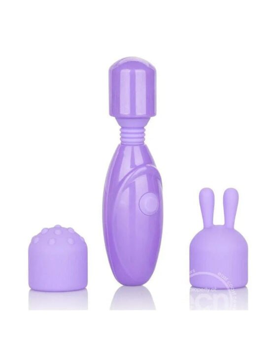 Dr. Laura Berman Intimate Basics Olivia USB Rechargeable Mini Massager With Attachments Set