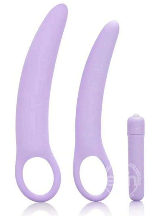 Dr. Laura Berman Isabelle Set of 2 Vibrating Silicone Kegel Exercise Dilators