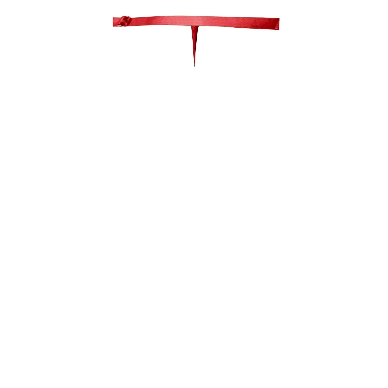 Essentials-Lace-Garter-Belt-Red-Lingerie-Clothing_b930bd23-b9fb-4949-926c-ca990aee6c40.jpg