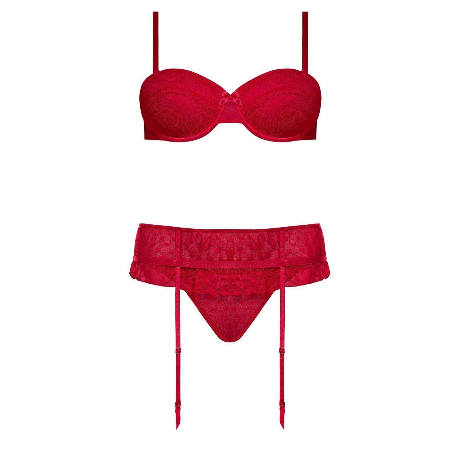 Valentina-Bra-with-Garter-Panty-Lingerie-Clothing_8a20283b-7a82-4379-9486-a9989f178950.jpg